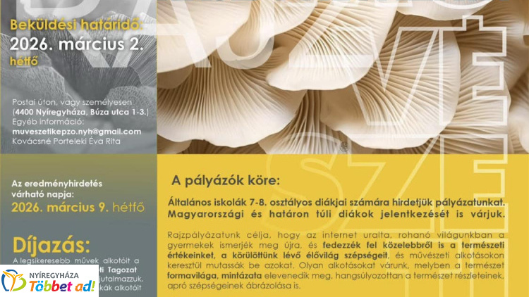 Képző Macro Natura – rajzpályázatot hirdet a Nyíregyházi Művészeti Szakgimnázium