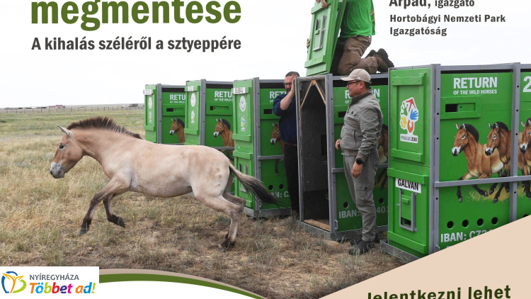 A Przewalski-ló megmentéséről tartanak előadást a könyvtárban