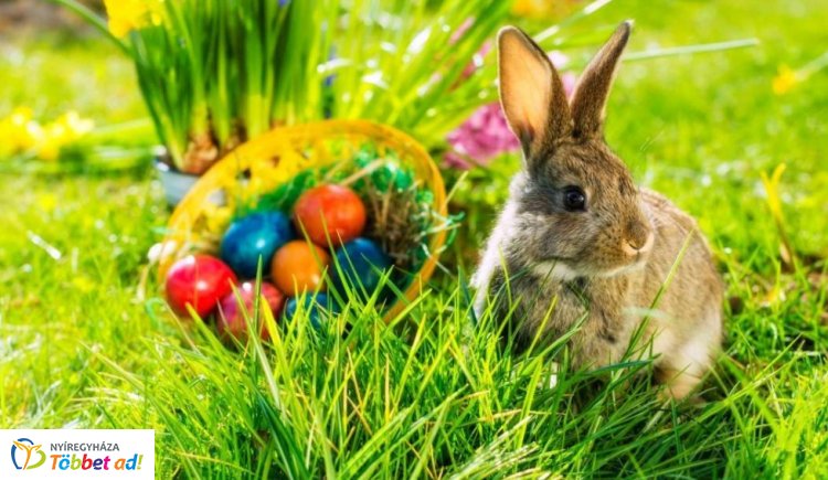 A húsvéti ünnepkörhöz kapcsolódóan számos tradíció él hazánkban