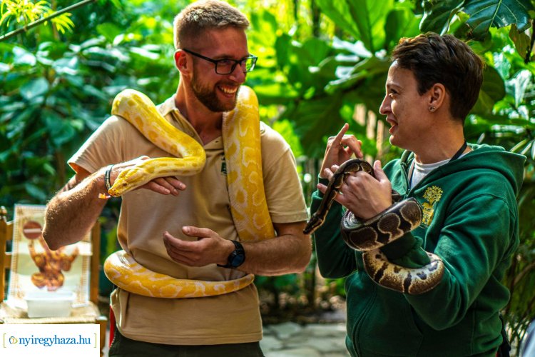 December 27-én bepillanthatnak a látogatók a Nyíregyházi Állatpark kulisszái mögé