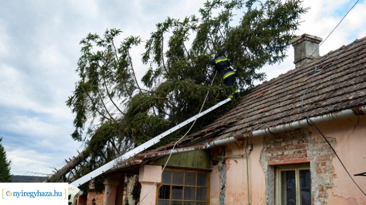 Fákat döntött ki, épületeket rongált meg a viharos szél országszerte