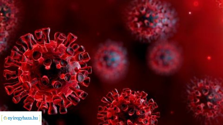 261-re nőtt a beazonosított koronavírus-fertőzöttek száma és 28-ra a gyógyultaké