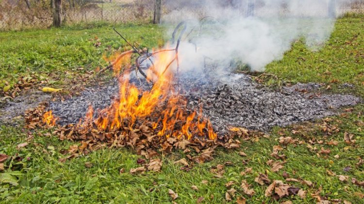 Katasztrófavédelem: április 1-től tilos az avar és kerti hulladék égetése