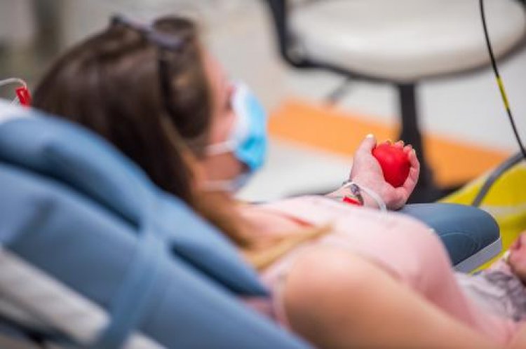 Egyre több potenciális vérplazmadonor jelentkezik - A terápia jelentős eredményeket mutat