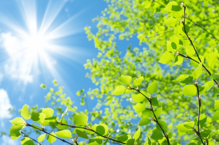 Napfény árasztja el kedden az országot – Ilyen időjárásra számíthatunk