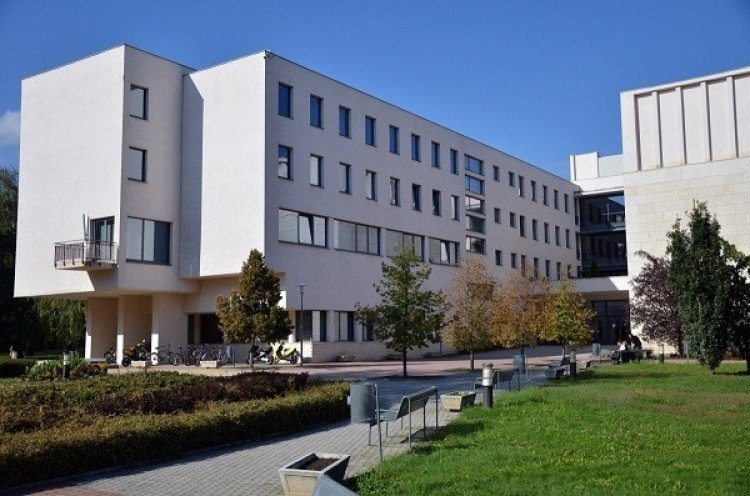 Sikeres pótfelvételit zárt a Nyíregyházi Egyetem - 114 főt vettek fel az eljárás során