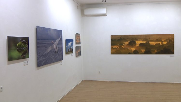 Zsila-fotók a galériában: „Az én műtermem a természet”        