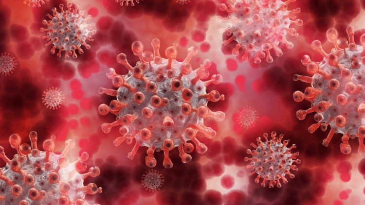 Hanyatt vágott a hír: koronavírusos lettem - Próbálok nem gondolni a rossz dolgokra