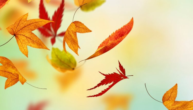 Országos Meteorológiai Szolgálat: az ősz még a kellemes arcát mutatja