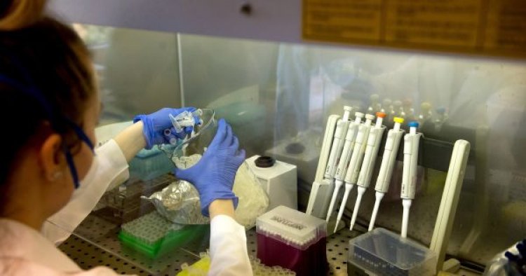 NNK: megkezdődött az antigénalapú gyorstesztek összehasonlító vizsgálata