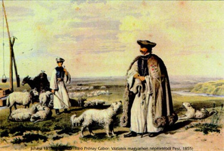 Pásztorforgatag a Múzeumfaluban  - Hamisítatlan őszi vásári hangulat várja az érdeklődőket