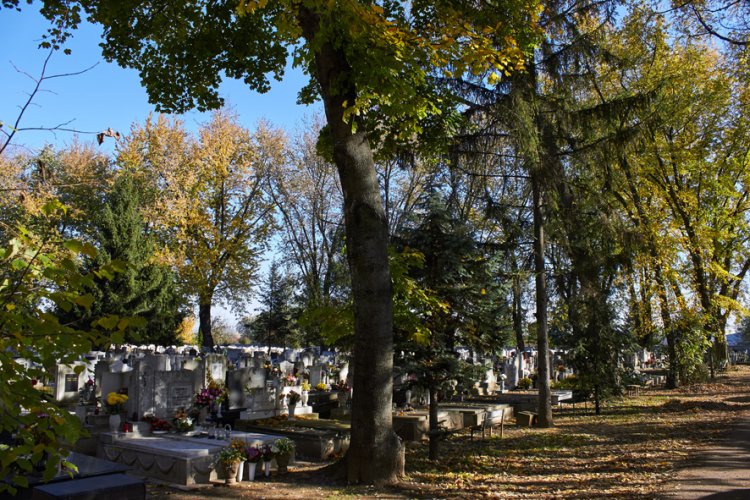 Változó temetkezési szokások: egyre gyakoribb a hamvasztásos temetés a temetőkben