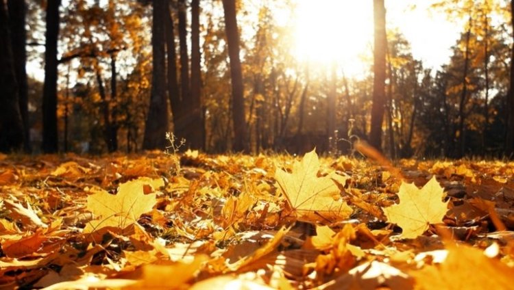 Napsütéssel köszönt be a november - 15 fok is lehet napközben