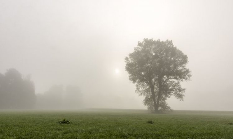 Országos Meteorológiai Szolgálat: sűrű köd teszi kellemetlenné a napot