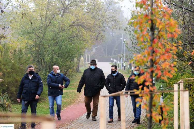 Folytatódik a faültetés Sóstón – Több mint száz fát ültettek az elmúlt napokban