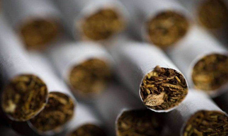 Több mint 1100 doboz cigarettát szagolt ki Becky Záhonynál  
