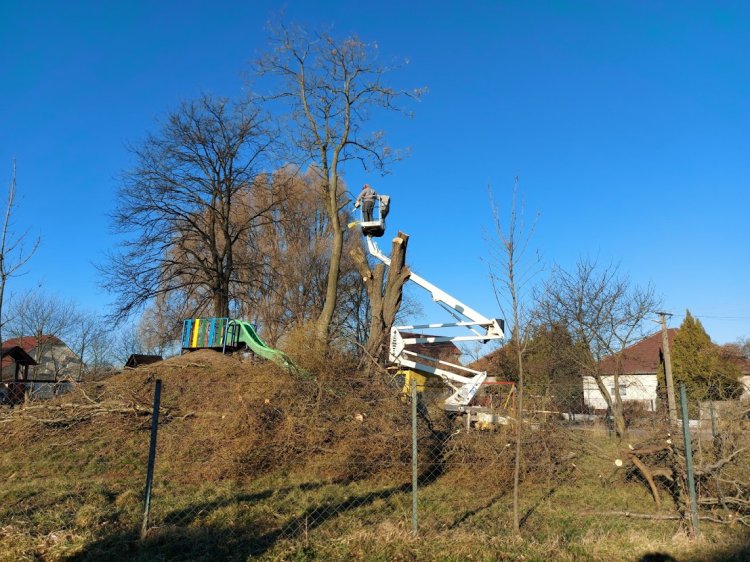 Faápolási munkákat végeztek a NYÍRVV szakemberei hétfőn reggel Borbányán