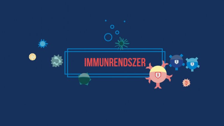 Ebből a videóból mindent megtudhat az immunrendszerről      