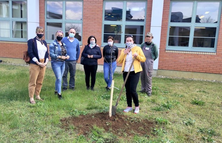 Nyíregyházi Egyetem: fát ültettek a Föld napja alkalmából                 