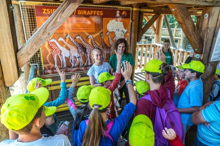 Június 21-től idén is lesz Zoo-suli az Állatparkban: a héten indul az online regisztráció!