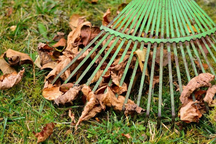 November végéig elviszik a zöldhulladékot, plusz egy zsákot is ki lehet tenni 