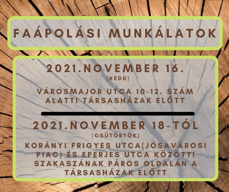 Faápolási munkálatokat végez november 18-tól a NYÍRVV a Korányi és Eperjes utcák közötti szakaszon