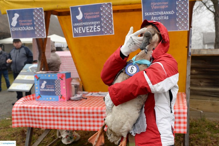 Libaszépségverseny, libás ételek kóstolója, újbor, tánc és muzsika – Márton-nap a skanzenben