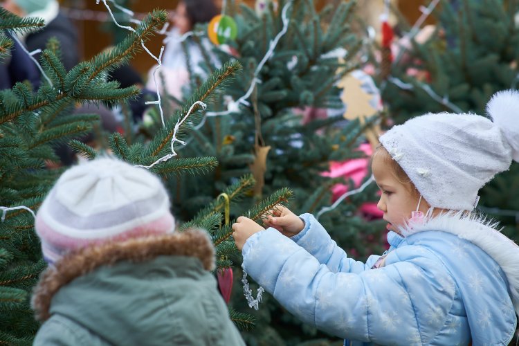 Kis Karácsony Sétány – Óvodások díszítették a fenyőket a Kossuth téren