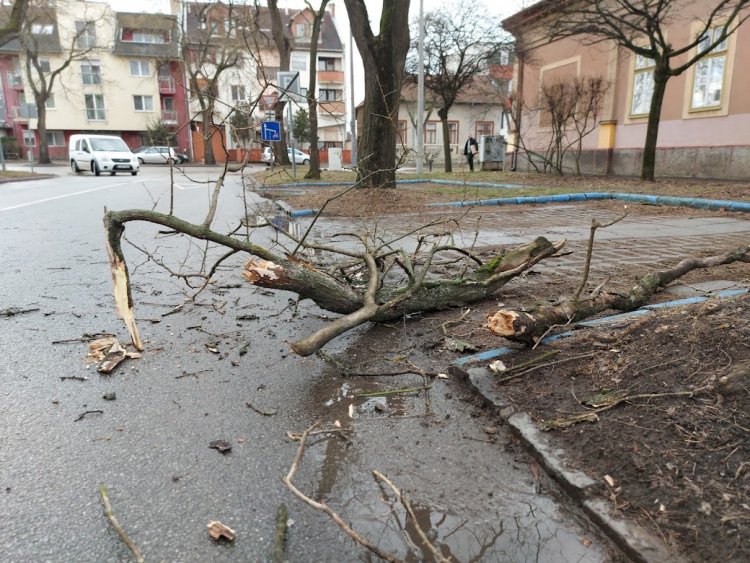 A viharos szél több helyen is károkat okozott Nyíregyházán