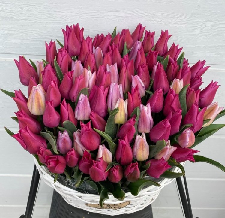 A tervek szerint idén tulipánszüret is lesz A Kert-ben!