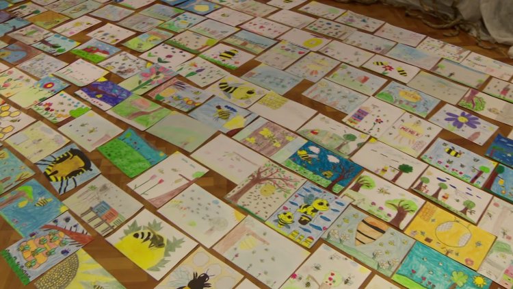 50 méhes rajz a Váciban – A kulturális központban mutatták meg a rajzpályázat legjobb alkotásait