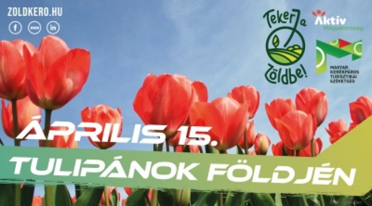 A tulipánok földjén – Április 15-én újra túrát szervez a Zöld Kerék Alapítvány