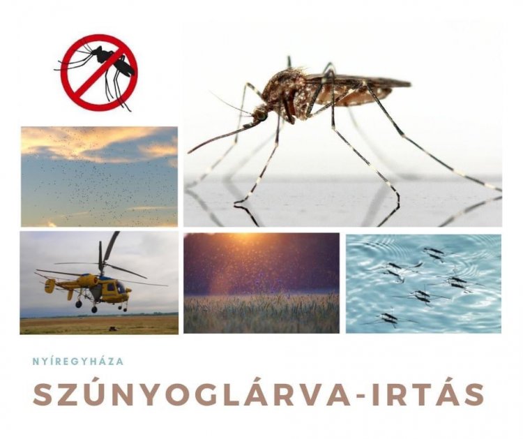 A NYÍRVV Nonprofit Kft. megbízásából újabb szúnyoglárva-irtást végeznek Nyíregyházán május 20-án