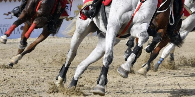 Nemzeti Vágta: Idén 15. alkalommal rendezik meg a határokon átívelő lovasversenyt