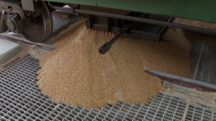 Magyarország segít az Ukrajnában rekedt gabona szállításában