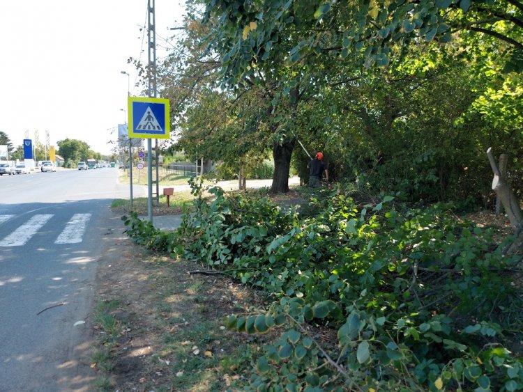 Faágakat vágtak a Tiszavasvári úton