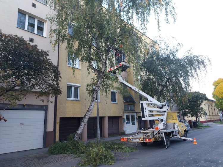 Balesetveszélyes fát vágott a NYÍRVV a Báthory utcában szerdán
