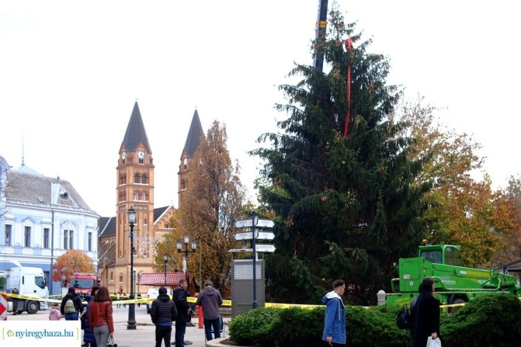 Nyíregyháza már az adventre készül: felállították a város karácsonyfáját!