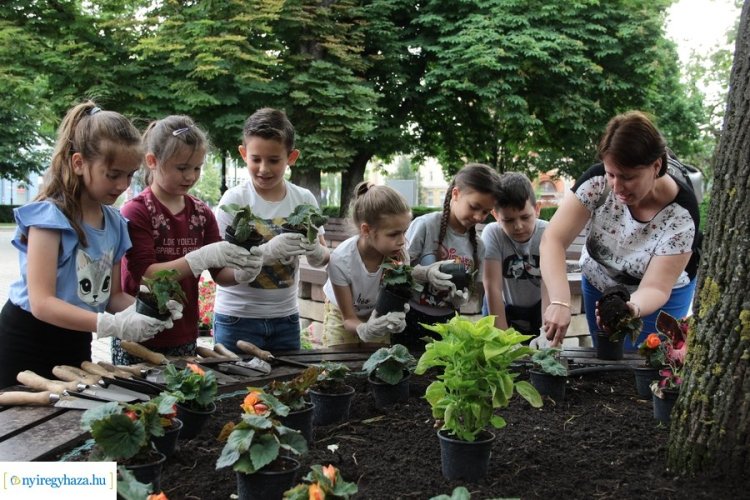 Ültetés – A gyerekek is hozzájárultak a város szépségéhez