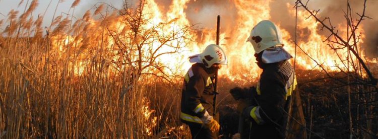 Több szabadtéri tűz keletkezett hétfőn Szabolcs-Szatmár-Bereg vármegyében