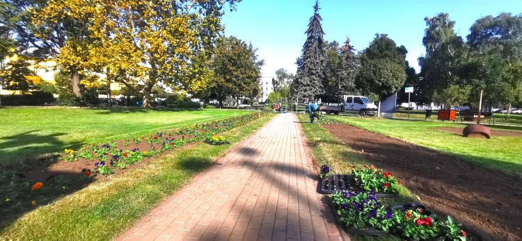 Mesés; több mint hetvenötezer hagymás virággal és dísznövénnyel gazdagodik Nyíregyháza!