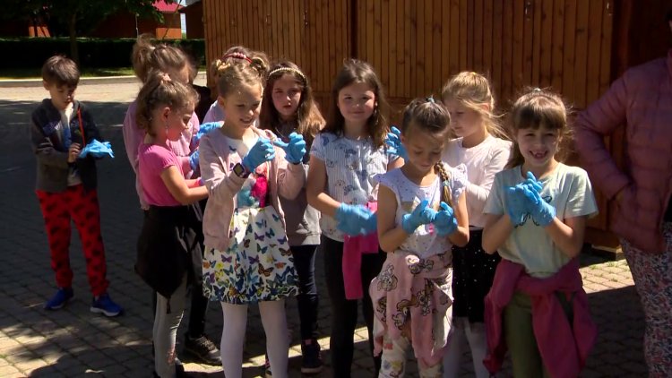 Közel 300 virággal gyarapították a belváros ágyásait a Petőfi iskola tanulói