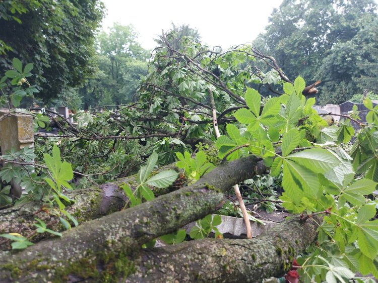 A temetőben is károkat okozott a vihar