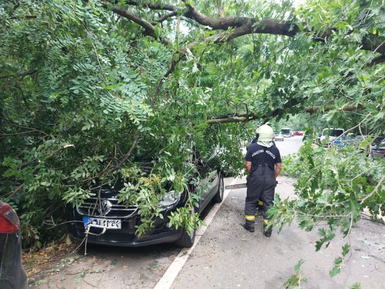 Hatalmas fák dőltek a Sóstói útra, autókat rongáltak meg