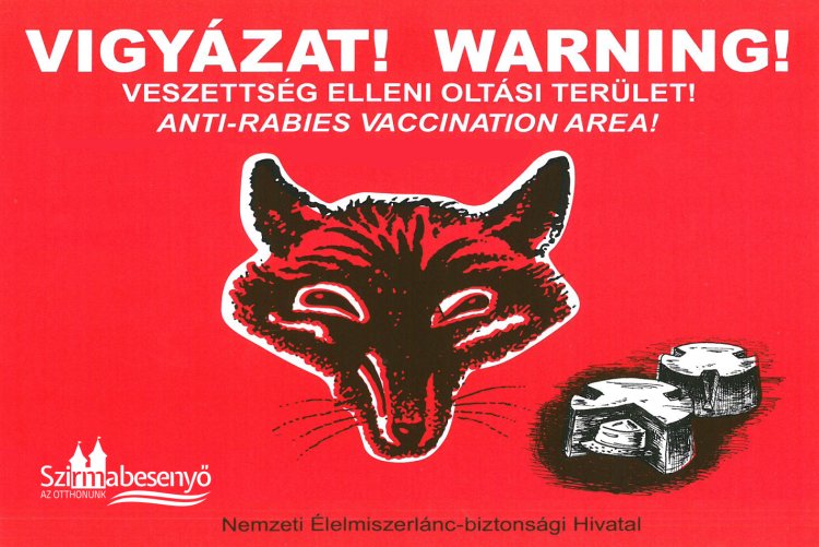 Október 5-től indul a rókavakcinázás az ország keleti és déli vármegyéiben