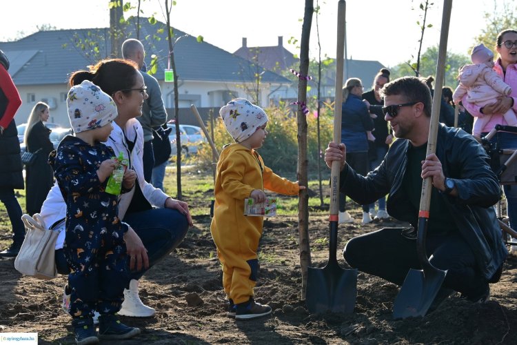 Újéletfa akció – 46 facsemetét ültettek el a kertvárosi ligetben