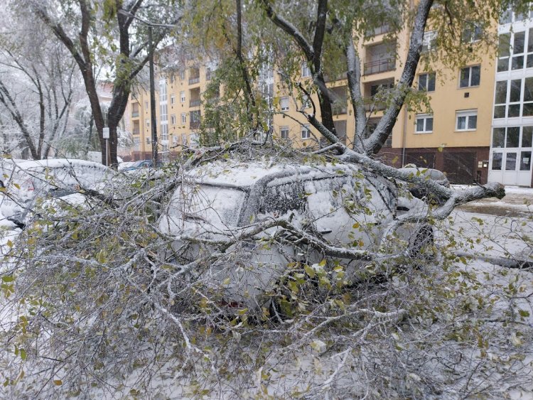 Itt a havazás - Lehasadt faágak nehezítik a közlekedést                     