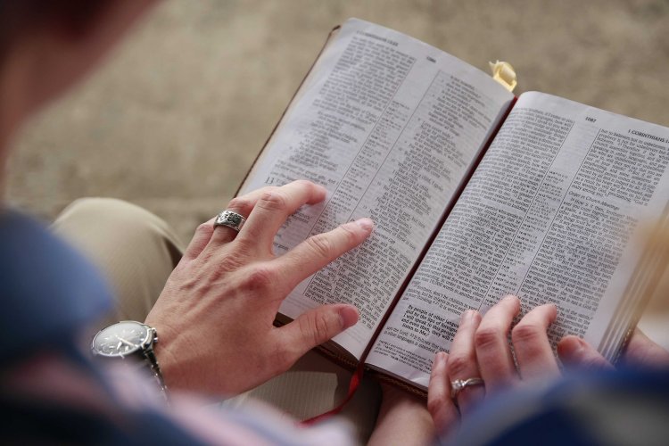 Ismerje meg a Biblia növényeit! - Ági néni különleges előadással készül