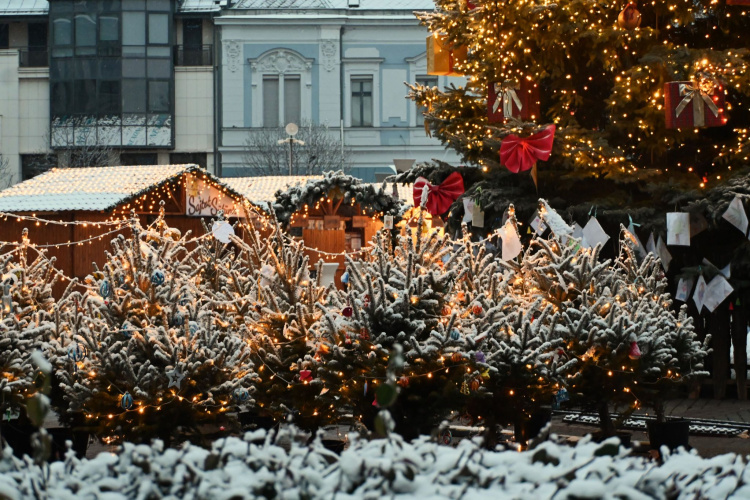 Téli csodavilág - Fehér leplet kapott egy nappal szenteste előtt Nyíregyháza! 