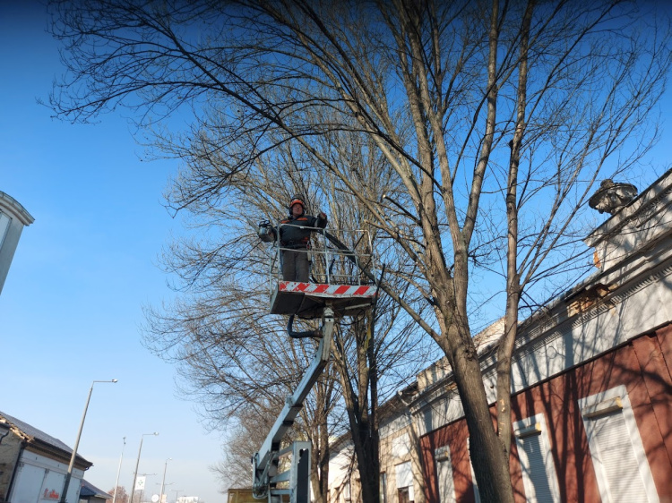 Ráhajlottak az ágak az autókra                         